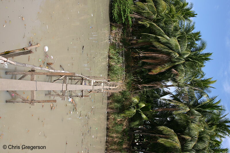 Photo of Makeshift Bridge Crossing a River in Bacoor, Cavite(6100)