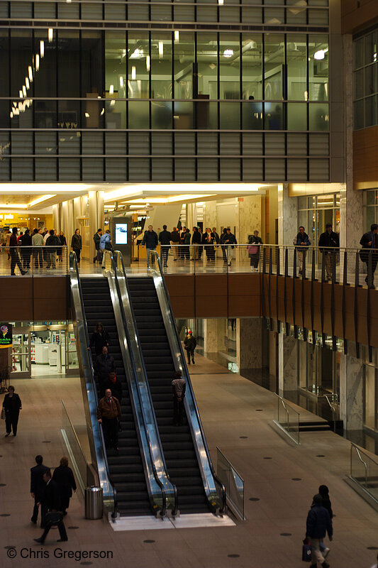 Photo of City Center Atrium, Downtown Minneapolis(6263)