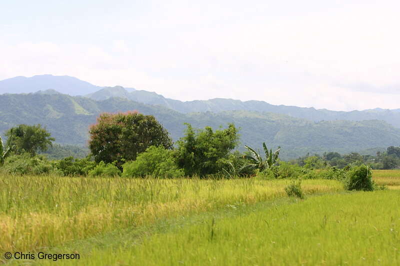 Photo of Farm Fields and Mountains in Badoc, Ilocos Norte, the Philippines(6358)