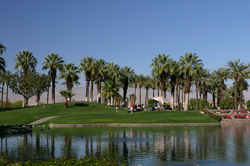 Photo of Golf Course, Marriott Desert Springs Hotel(6442)