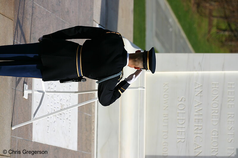 Photo of An Army Officer Salutes the Tomb of the Unknown Soldier(6483)