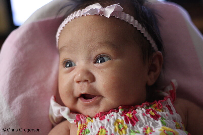 Photo of Baby Girl with Pink Bow, Smiling(6794)