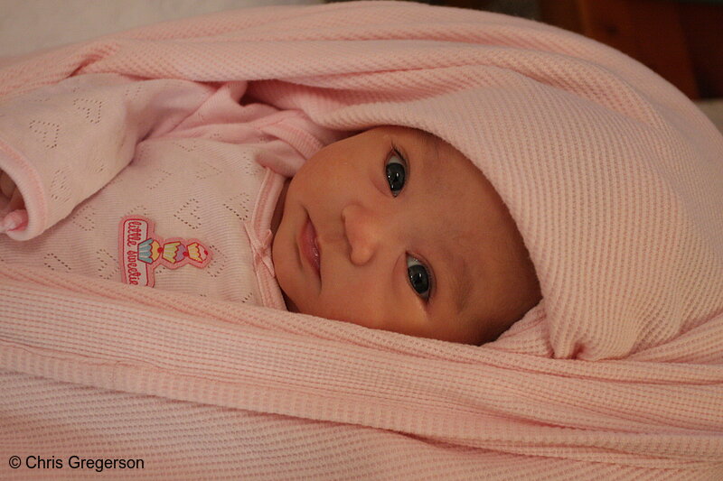 Photo of Athena Wrapped in a Pink Blanket(6812)