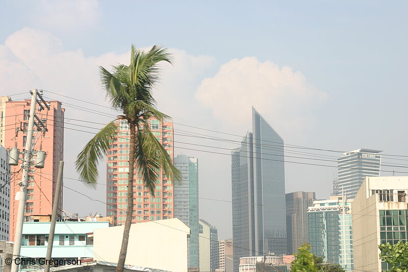 Photo of Makati Skyline from Legaspi Village(6869)