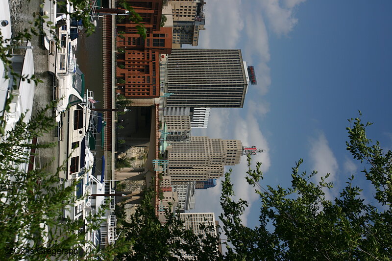 Photo of Mississippi River, Marina, and Downtown St. Paul(6906)