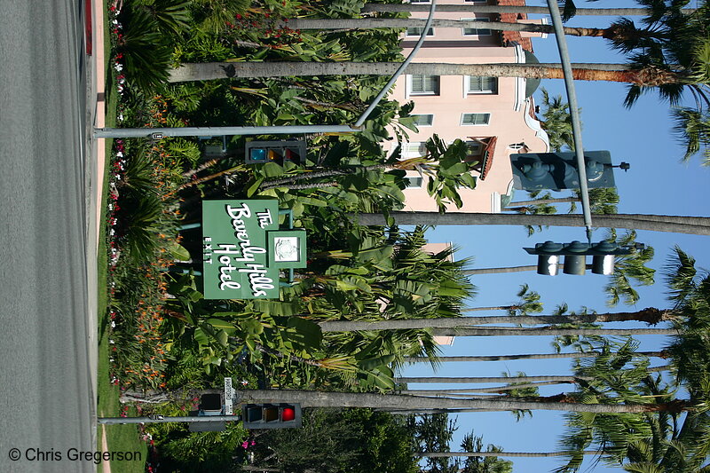 Photo of The Beverly Hills Hotel, Beverly Hills, California(6941)