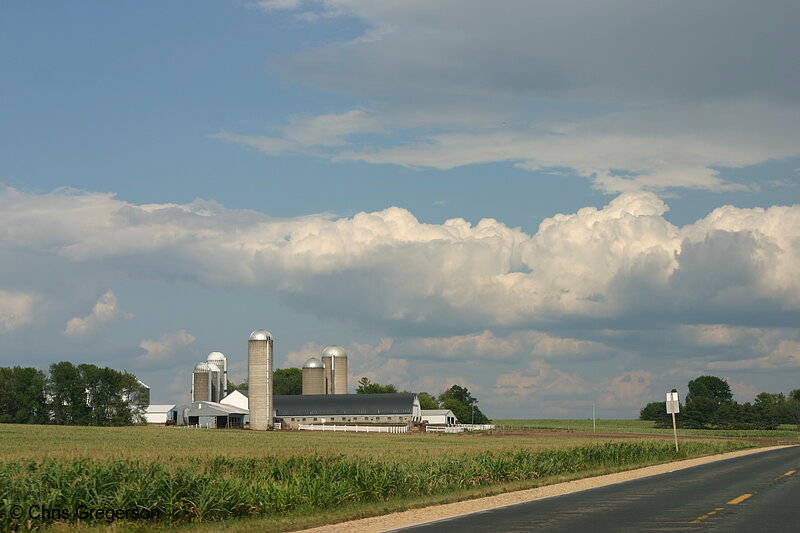 Photo of Cornfields and Silos Along Wisconsin Highway(6982)