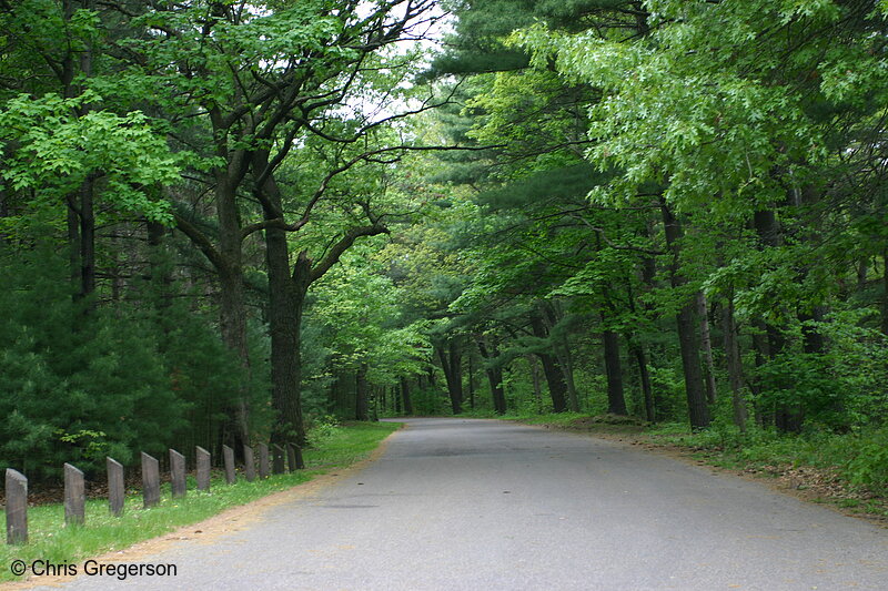 Photo of Carson Park, Eau Claire, WI(7016)