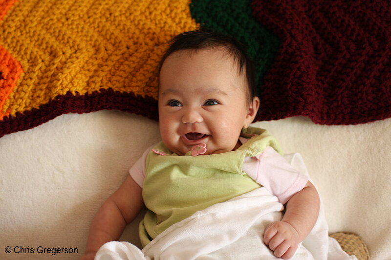 Photo of Athena Sitting up on the Sofa(7019)