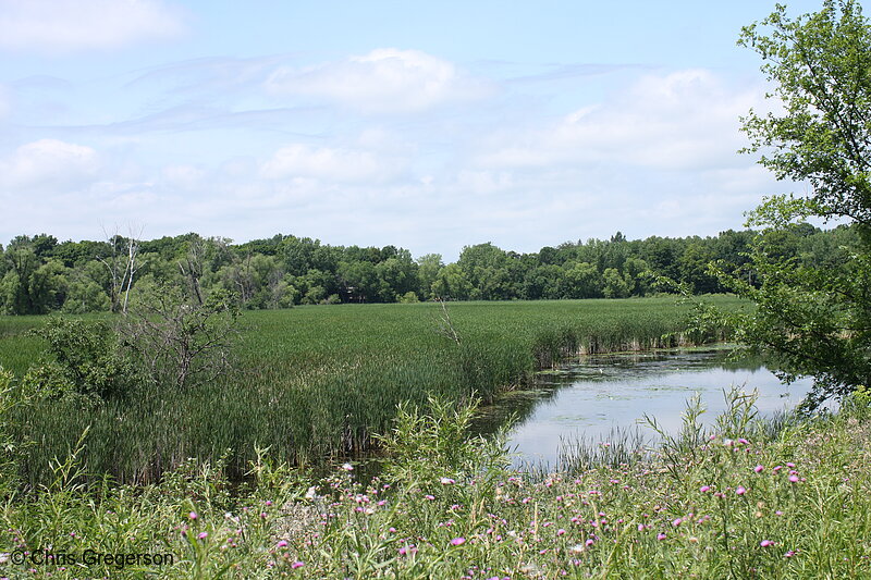 Photo of West Arm Lake, Minnetonka, Minnesota(7369)