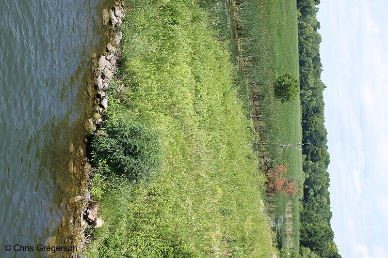 Photo of West Arm Lake, Minnetonka, Minnesota(7370)