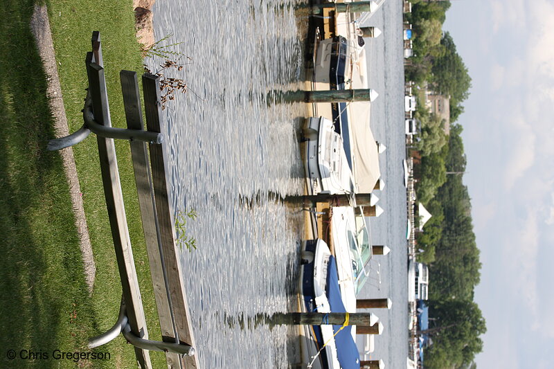 Photo of Bench and Marina, Excelsior Commons(7387)