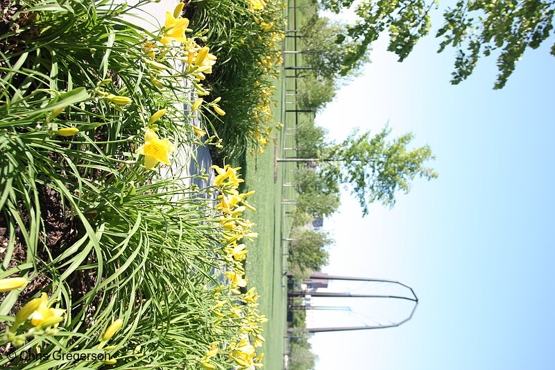 Photo of Gold Medal Park, Minneapolis Riverfront(7418)