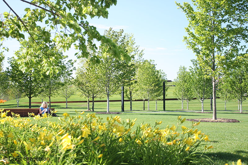 Photo of Gold Medal Park, Minneapolis Riverfront(7419)