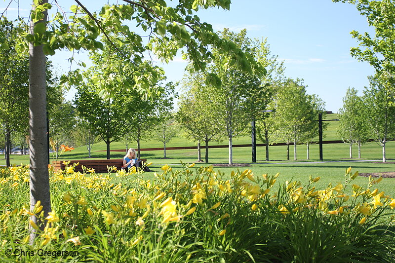 Photo of Gold Medal Park, Minneapolis Riverfront(7420)