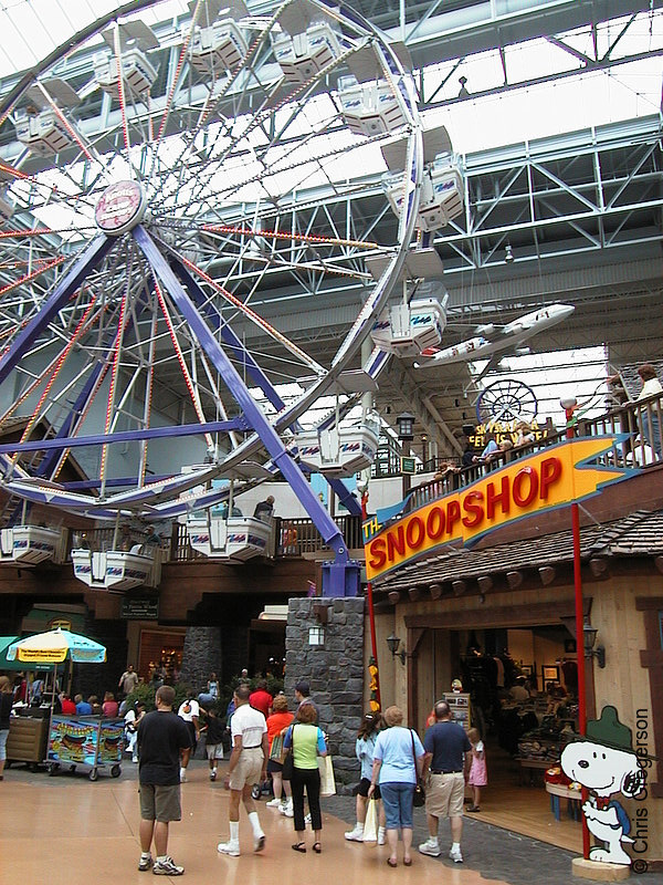 Photo of Skyscraper Ferris Wheel at Camp Snoopy(751)