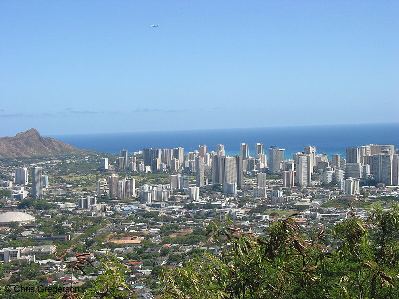 Photo of Honolulu Skyline(7625)