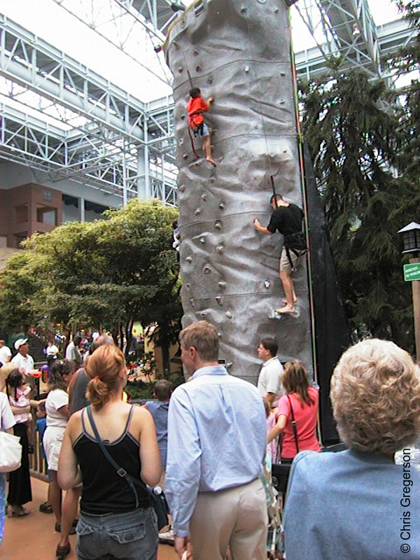 Photo of Climbing Wall at Camp Snoopy(768)