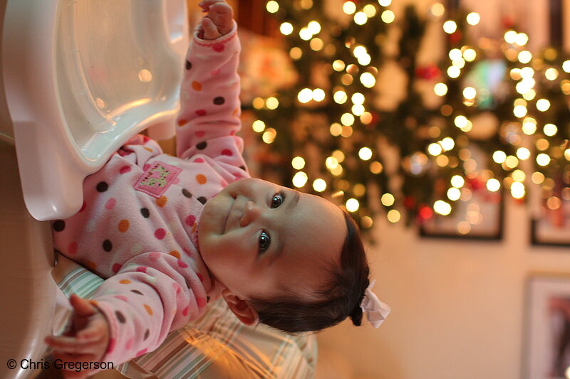 Photo of Athena During Christmas Time, 2008(7789)