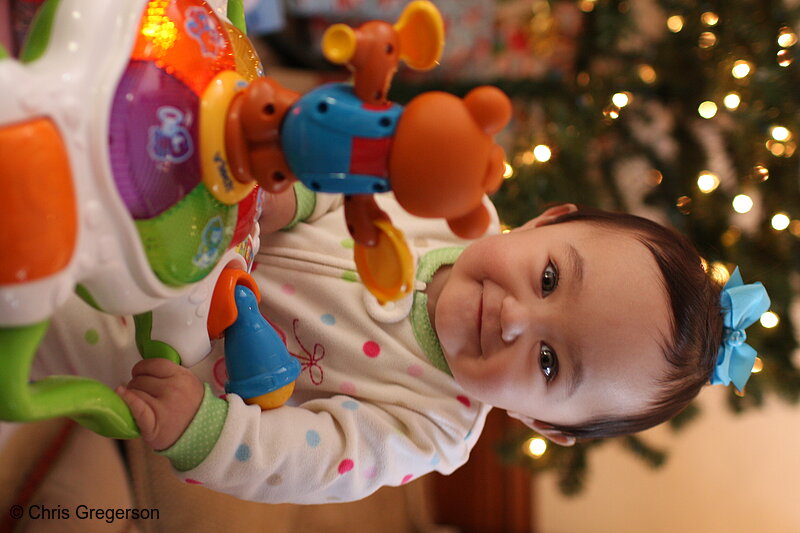 Photo of Athena During Christmas Time, 2008(7790)