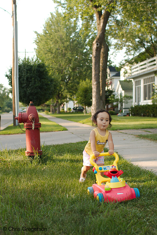 Photo of Athena Mowing the Lawn(7795)