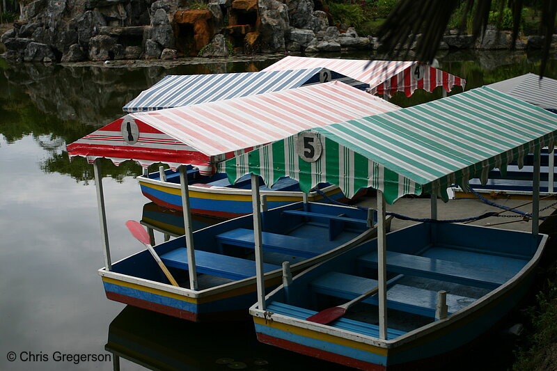 Photo of Pond in Burnham Park, Baguio City(7824)