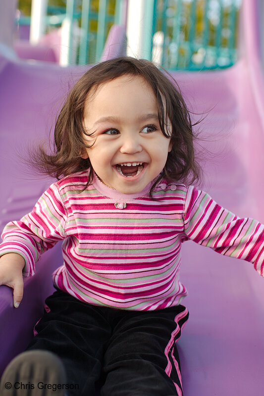 Photo of Athena on the Slide at the Park(7893)