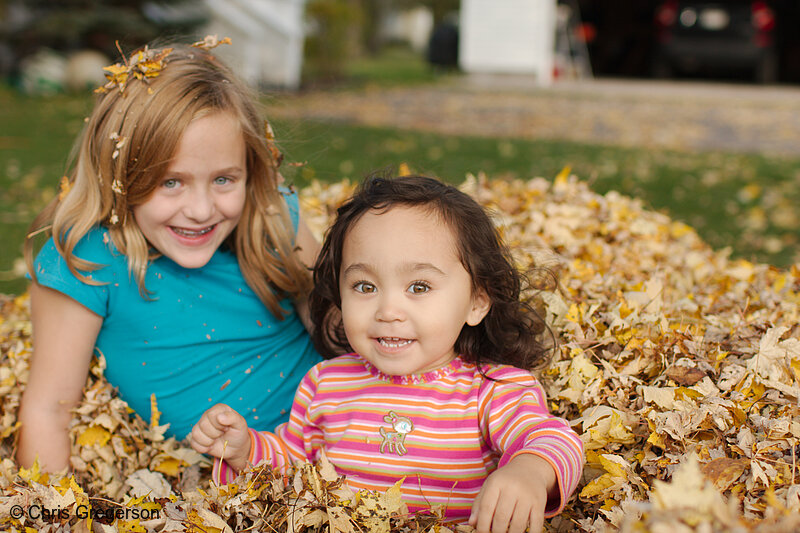 Photo of Athena and Friend in a Leaf Pile(7981)