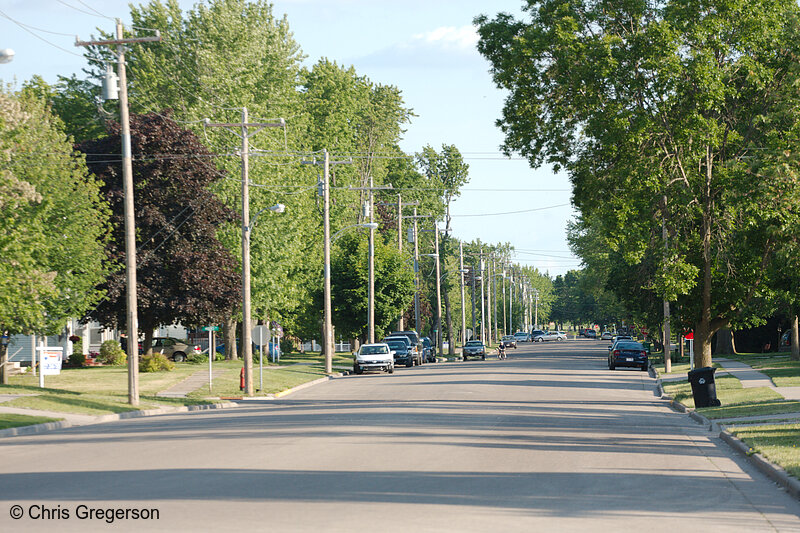 Photo of Green Avenue on a Summer Afternoon(8071)