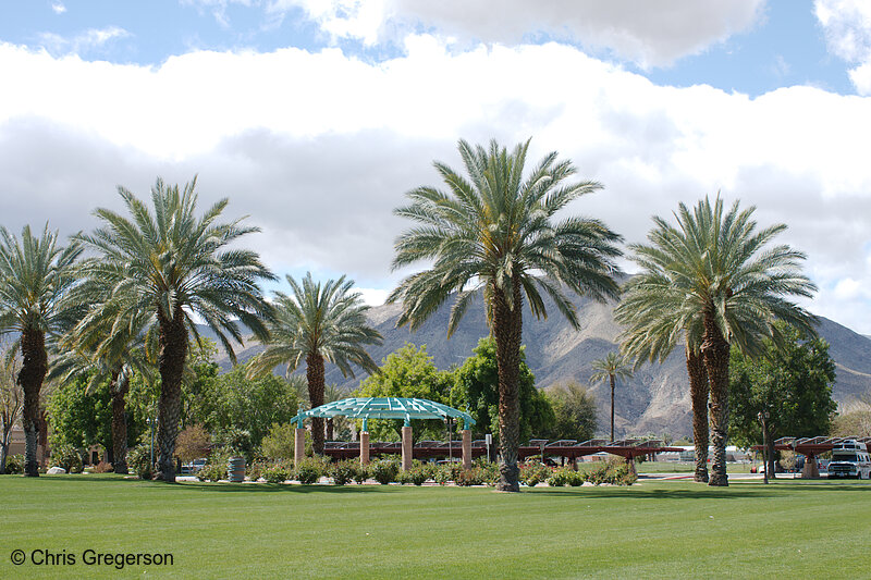 Photo of Park in Palm Desert, California(8208)