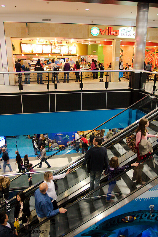 Photo of Mall of America Escalator(8232)