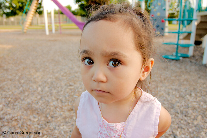 Photo of Athena Looking Serious at the Playground(8243)