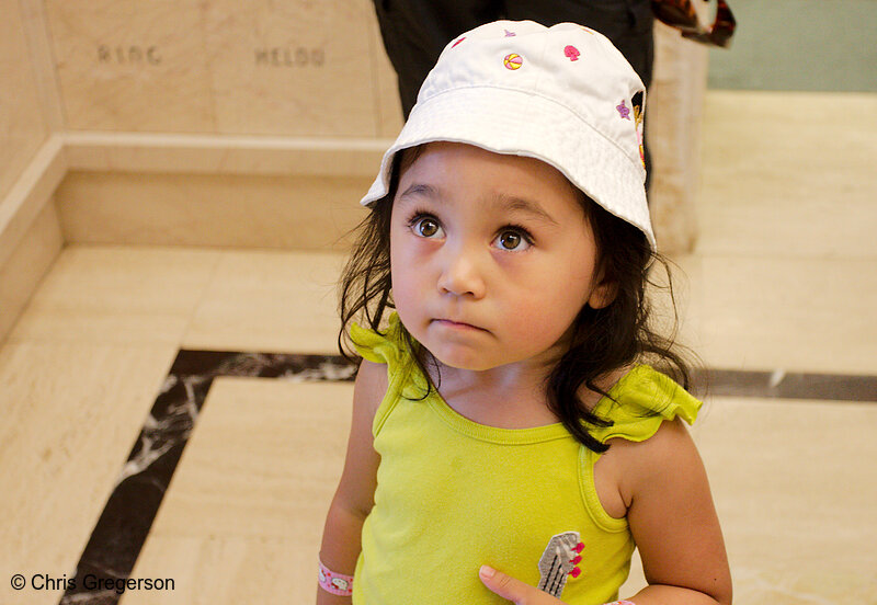 Photo of Athena at the Cemetery(8254)