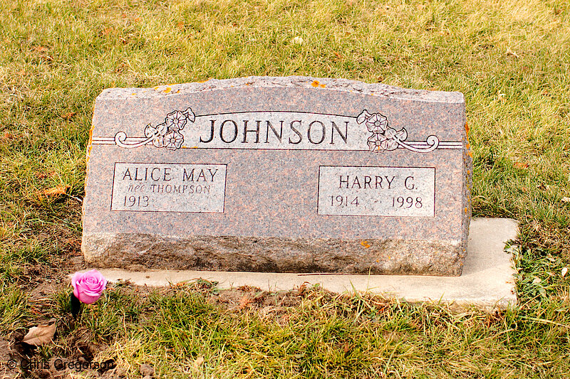 Photo of Gravestone for Alice and Harry Johnson(8312)