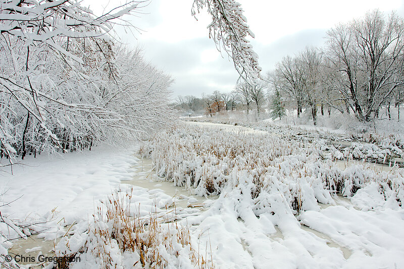 Photo of April,2013 Snowfall in New Richmond(8343)