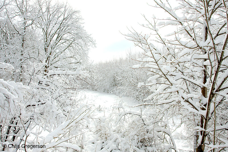 Photo of April,2013 Snowfall in New Richmond(8345)