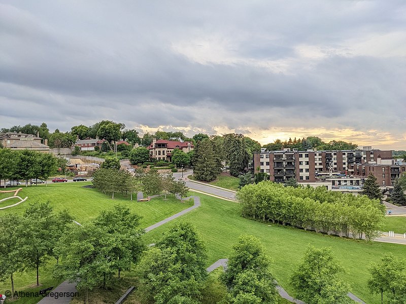 Photo of Houses Overlooking Loring Park (8411)