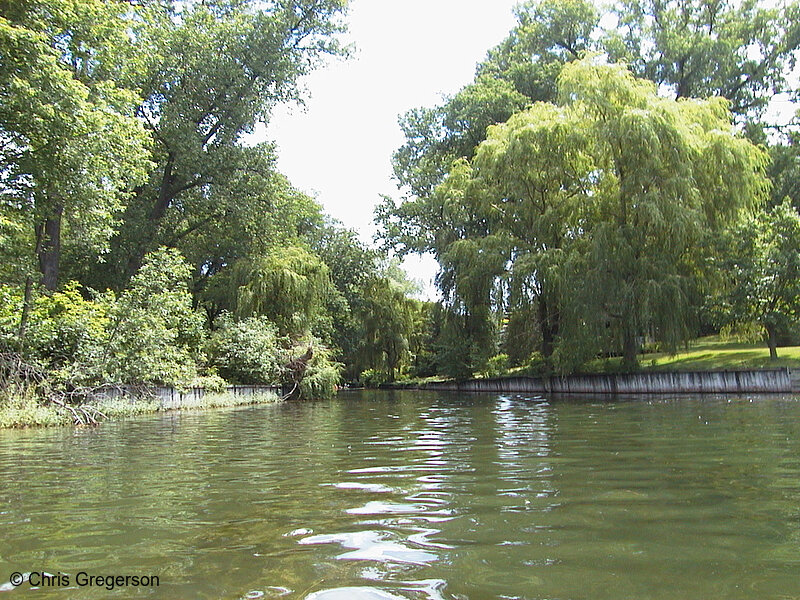 Photo of Cedar Lake and the Channel to Kenilworth Lagoon(893)