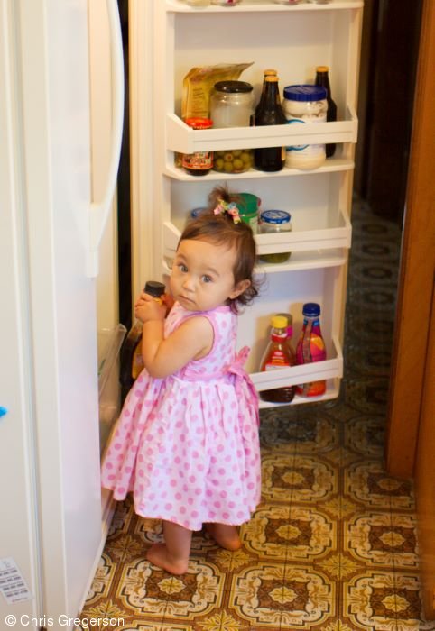 Athena at the Refrigerator