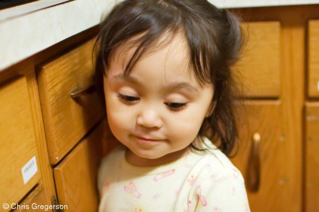Athena in the Kitchen, Shy
